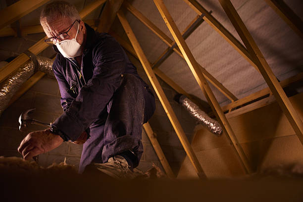 Best Attic Insulation Installation  in Wallenuck Lake Estates, PA